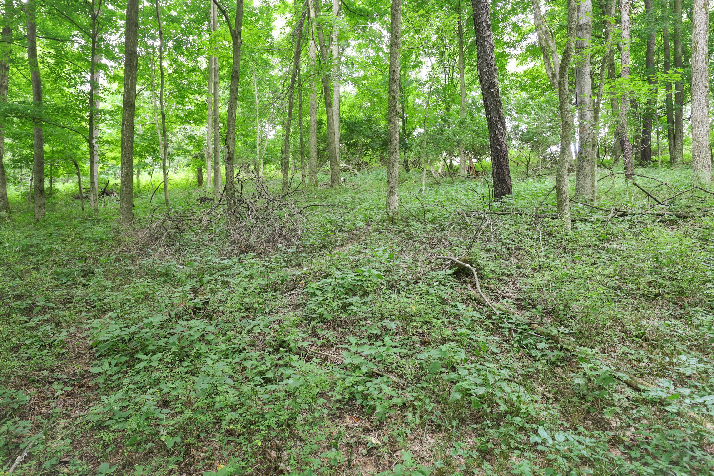 0 North Butler Liberty Road Butler, OH 44822 - Photo 18 of 47 IMG_0891