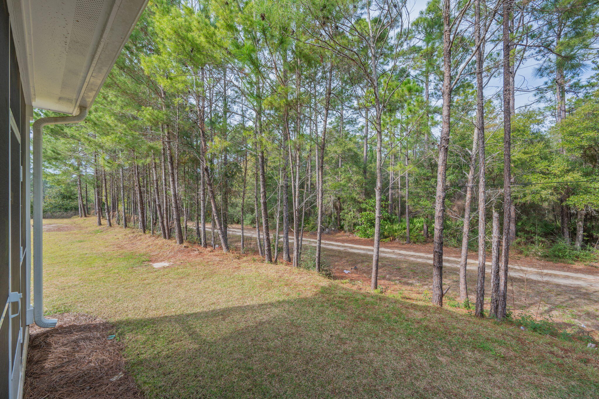 320 North Sand Palm Road Freeport, FL 32439 - Photo 25 of 30 Backyard
