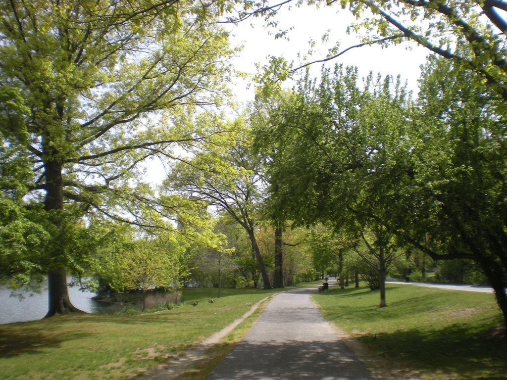 44 Washington Street, Unit 601 Brookline, MA 02445 - Photo 23 of 24 a park with large trees