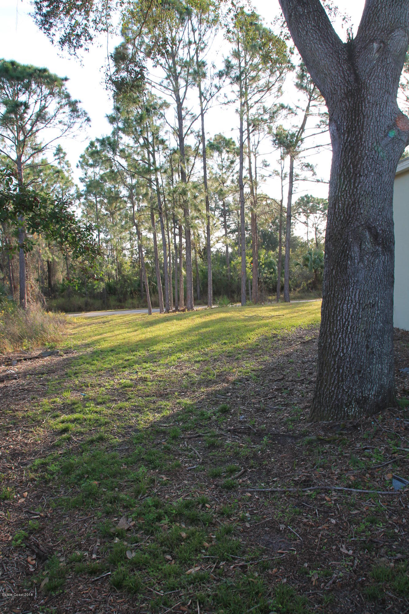 771 Titan Road Southeast Palm Bay, FL 32909 - Photo 18 of 19 BackYard