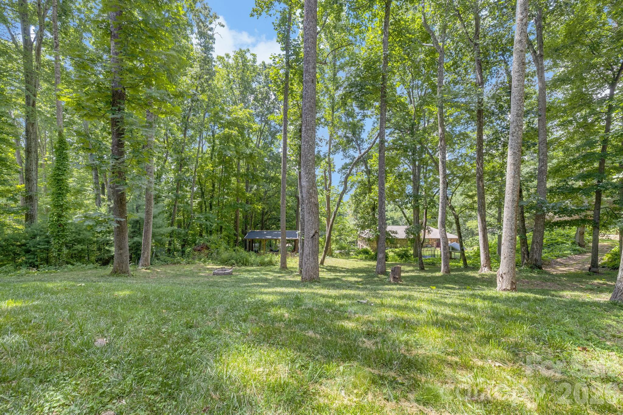 19 Sassafras Valley Road Swannanoa, NC 28778 - Photo 47 of 48