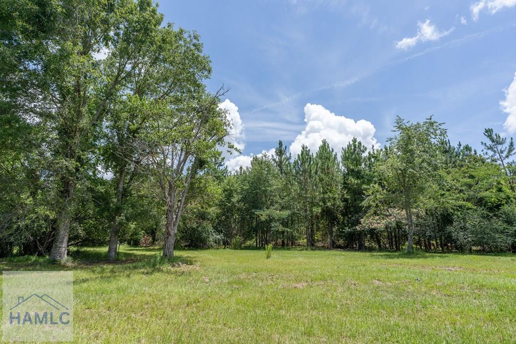 0 Oriole Road Odum, GA 31555 - Photo 11 of 24 Gallery Image 11