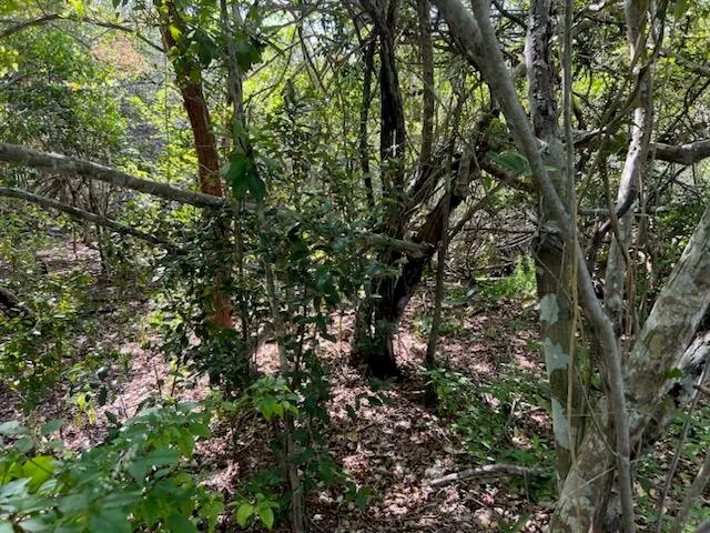 $49,500 | 0 No Access Road, Everglades City, FL 34139