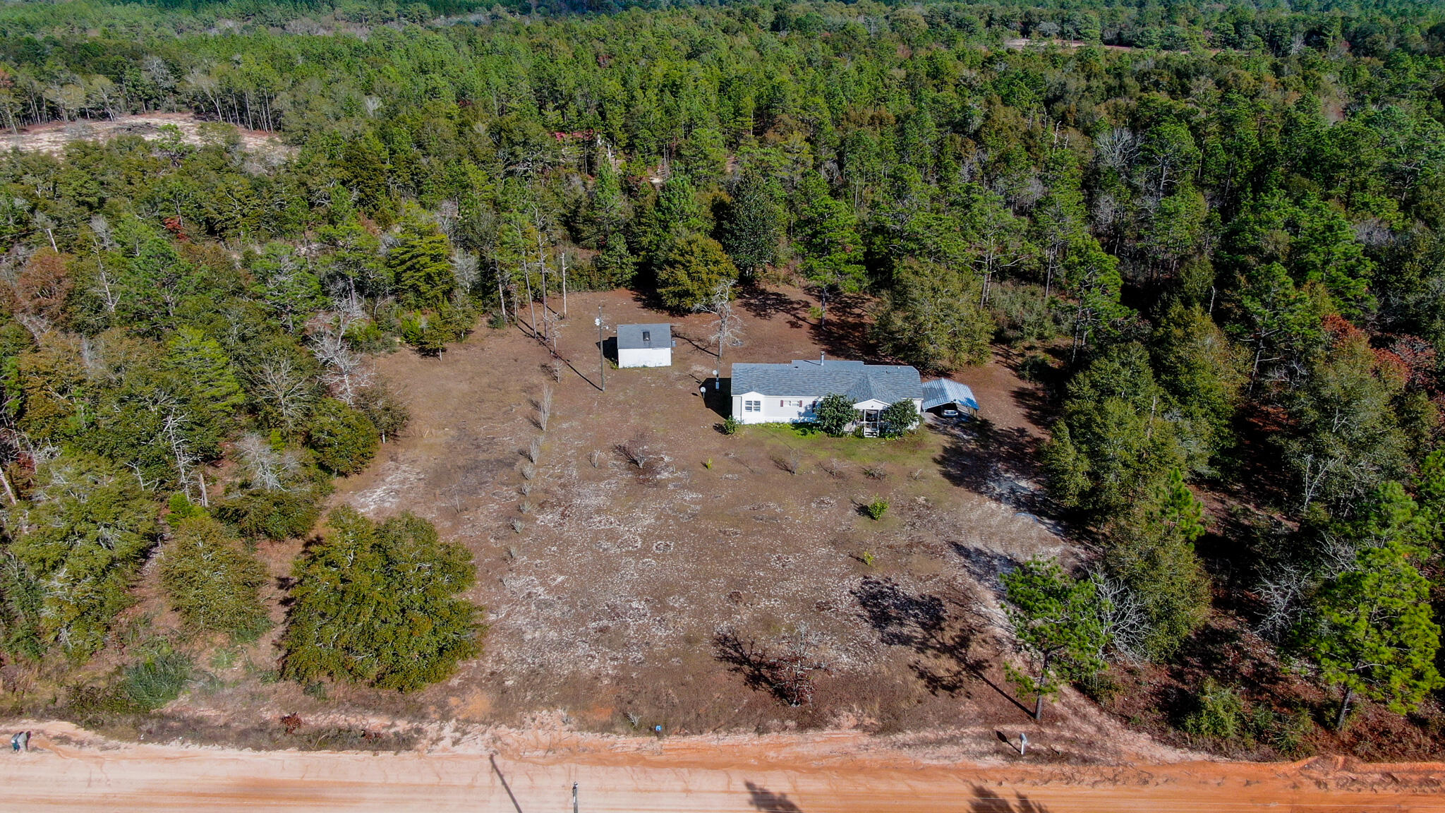 452 Wee Acres Road DeFuniak Springs, FL 32433 - Photo 20 of 23 a view of a forest with trees