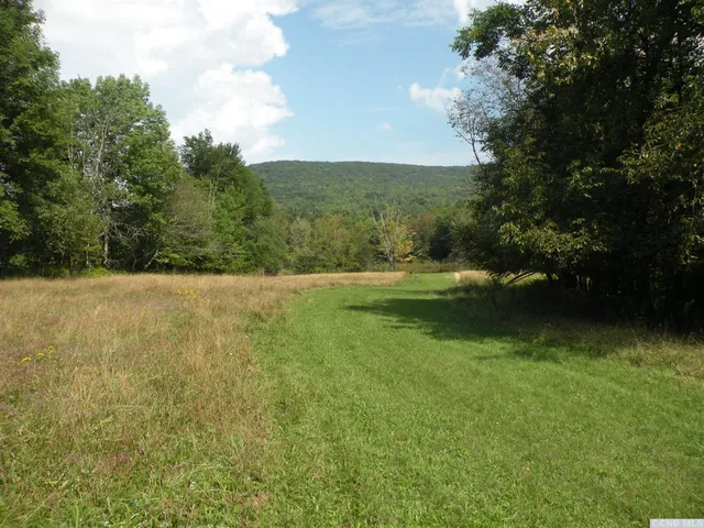 a view of a field with a tree