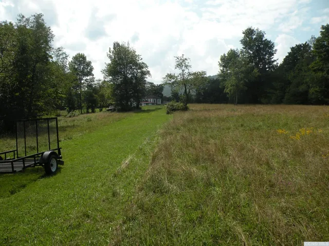 a view of a lush green outdoor space with a lake view