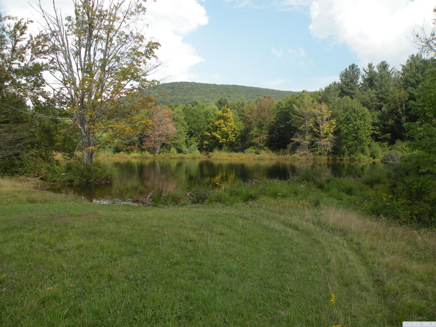 804 Mitchell Hollow Road Windham, NY 12496 - Photo 14 of 18 Photo 15