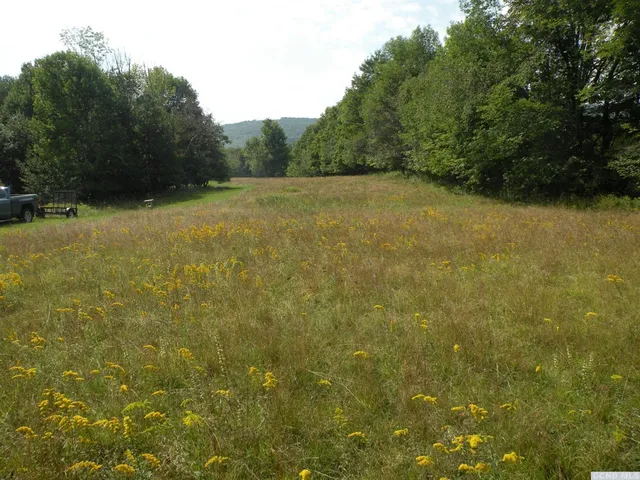 a view of a house with backyard