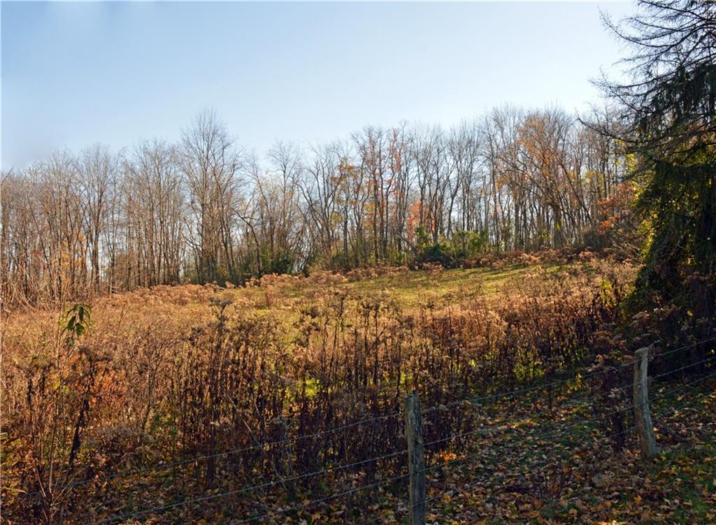 142 Ctr Lp Road Jefferson, PA 15344 - Photo 4 of 18