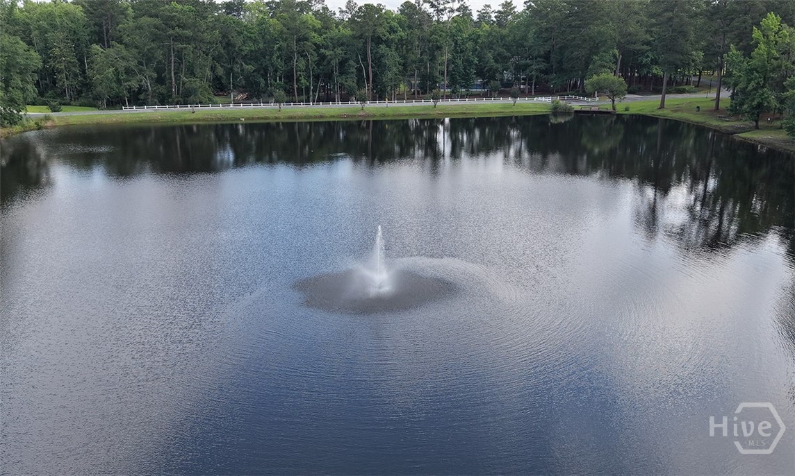 120 Lake Tomacheechee Drive Rincon, GA 31326 - Photo 43 of 51