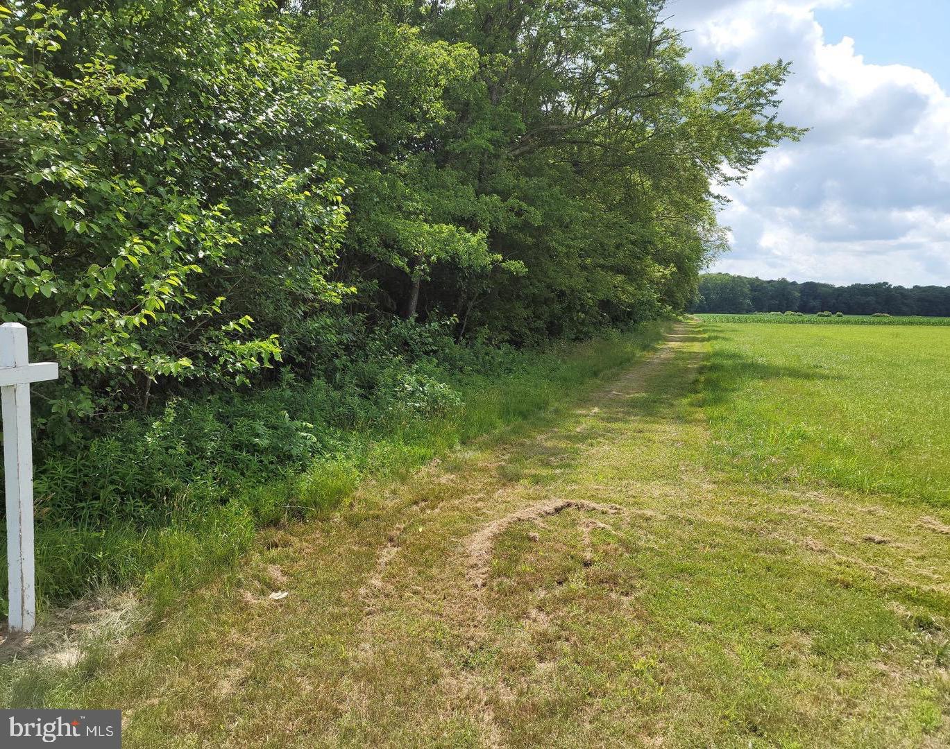 0 Galestown - Reliance Road Rhodesdale, MD 21659 - Photo 1 of 3 Lane From Road