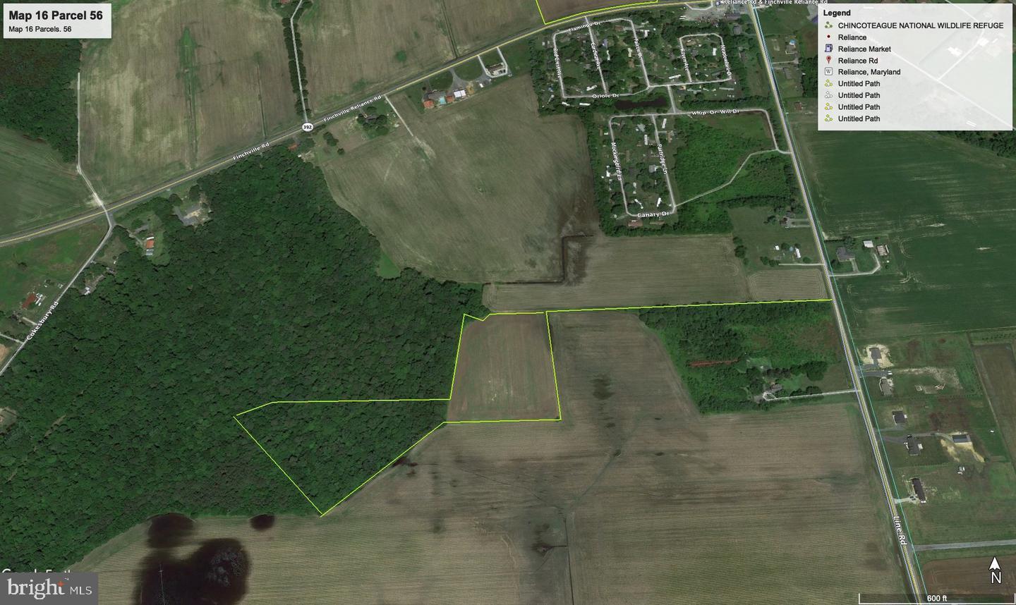 0 Galestown - Reliance Road Rhodesdale, MD 21659 - Photo 3 of 3