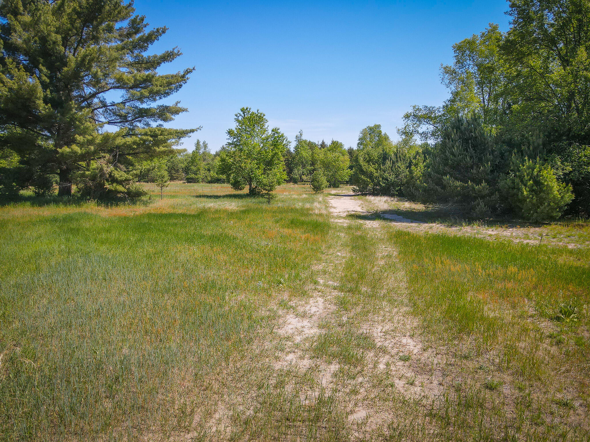Parcel A Makinen Road Kaleva, MI 49645 - Photo 5 of 29 DJI_0290
