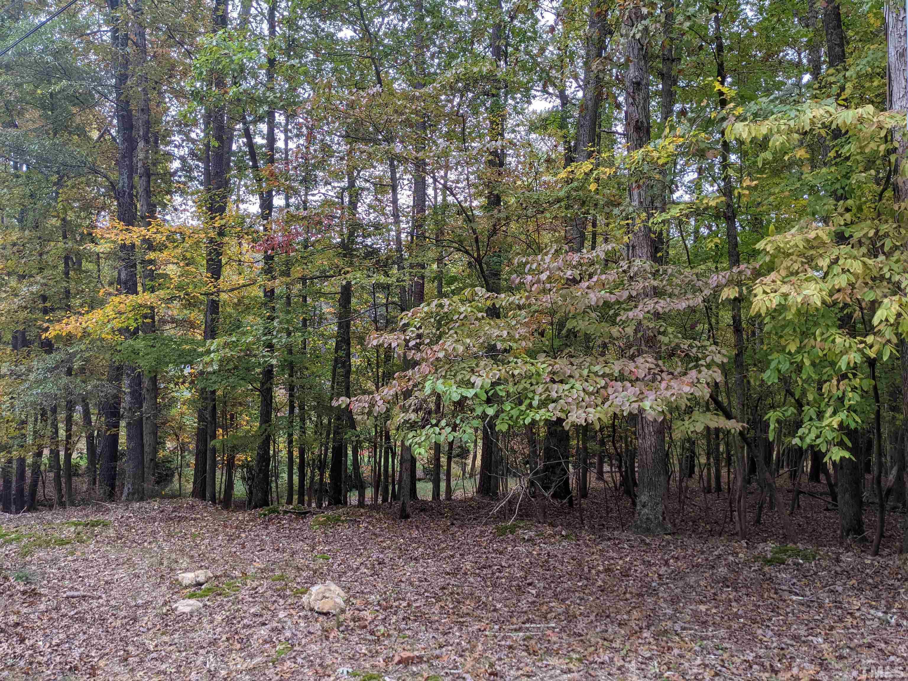 7218 Sunrise Road Chapel Hill, NC 27514 - Photo 2 of 3 a view of a yard with plants and trees