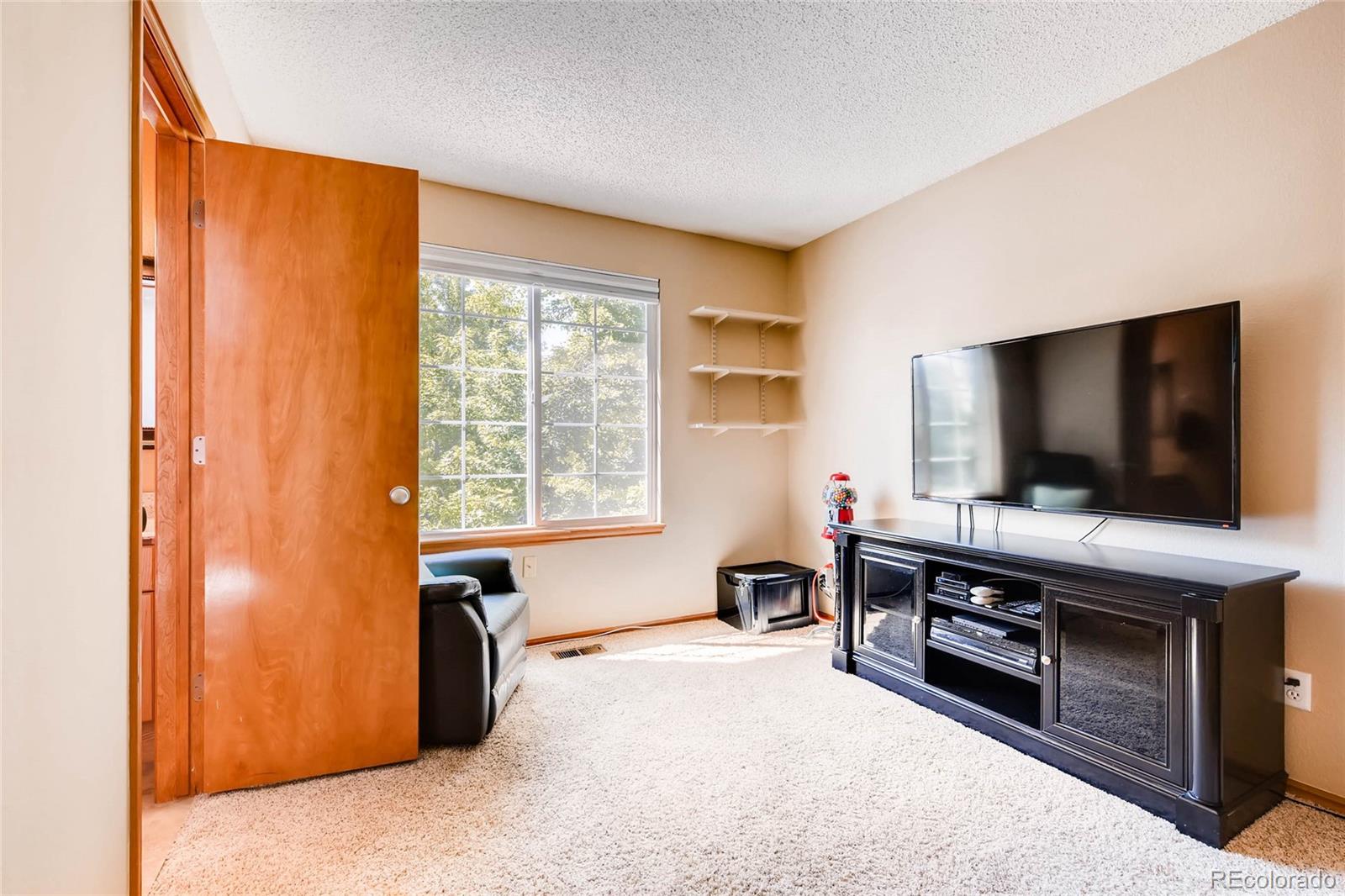 5293 Wangaratta Way Highlands Ranch, CO 80130 - Photo 12 of 21 Gallery Image 12