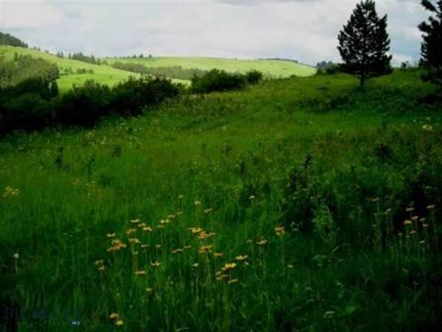 448 Middle Fork Road Moore, MT 59464 - Photo 1 of 1 Gallery Image 1
