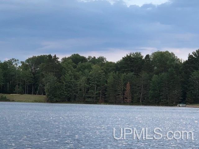 Tbd Mahskeekee Lake 33rd (co Rd 442) Road Wetmore, MI 49895 - Photo 5 of 5