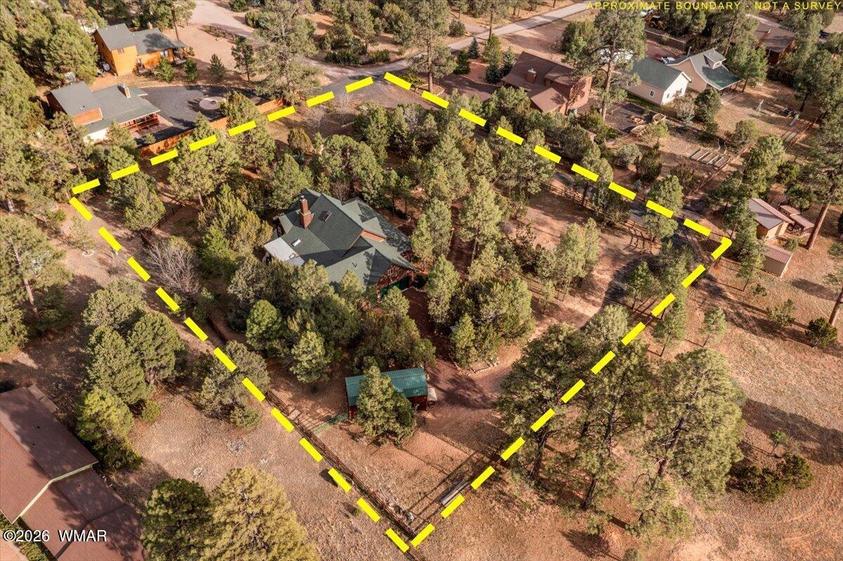 2952 Country View Lane Overgaard, AZ 85933 - Photo 69 of 77 70-DJI_0956