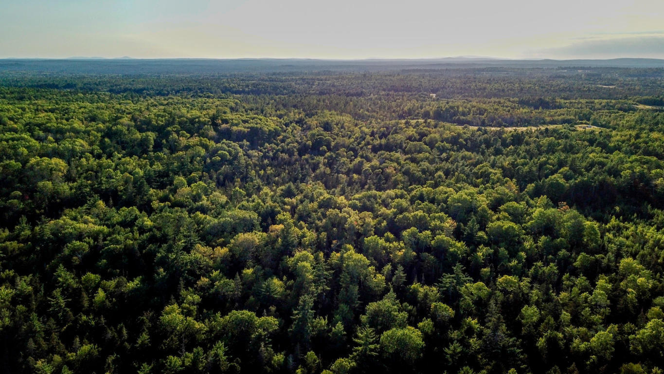 Lot 714 Ryder Road Wesley, ME 04686 - Photo 25 of 35 View of the Area