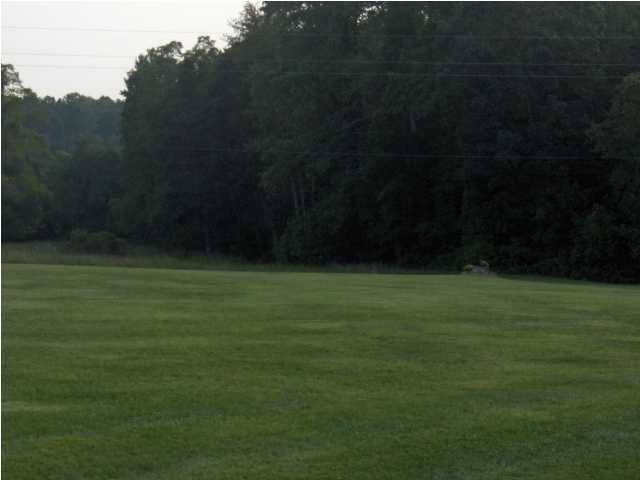 5214 Hendon Road Graysville, TN 37338 - Photo 7 of 8 Additional Photo
