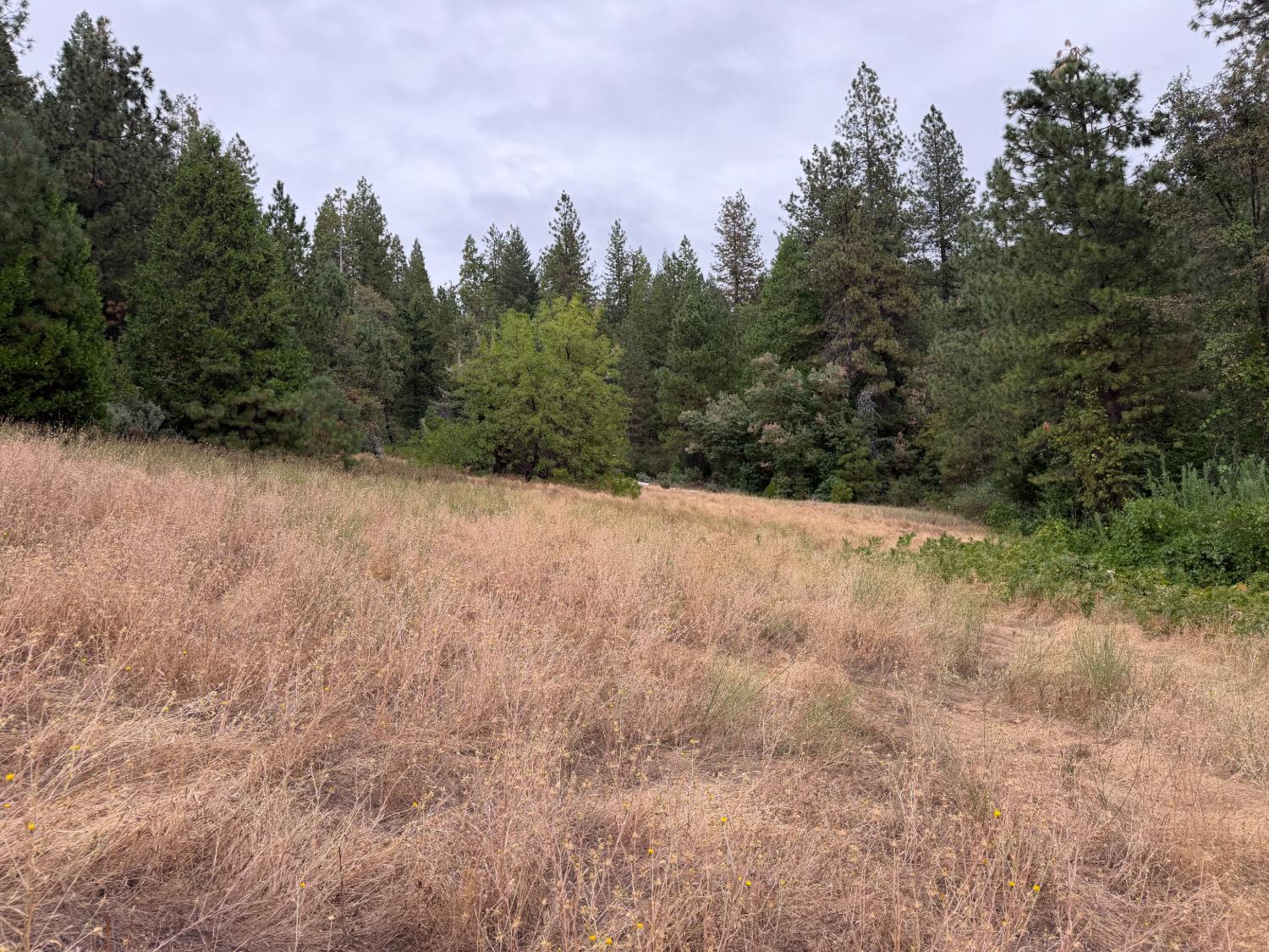27999 Big Dipper Road Colfax, CA 95713 - Photo 19 of 24 Gallery Image 19