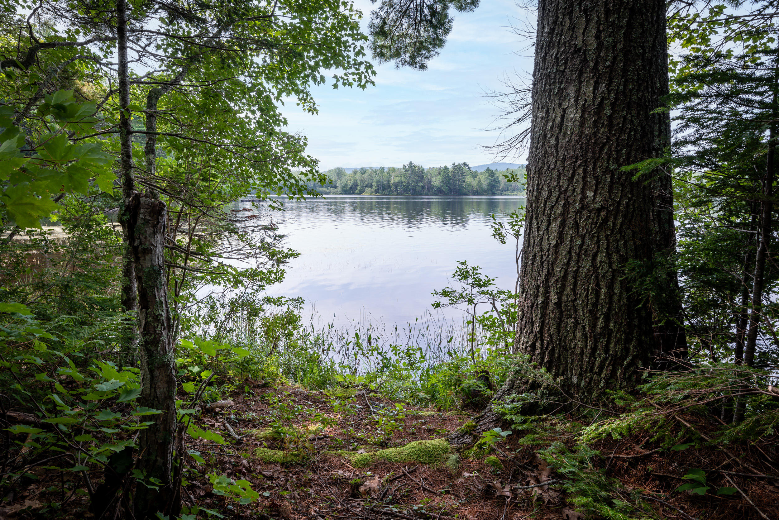 114 Camp Road Belmont, ME 04952 - Photo 38 of 48 41