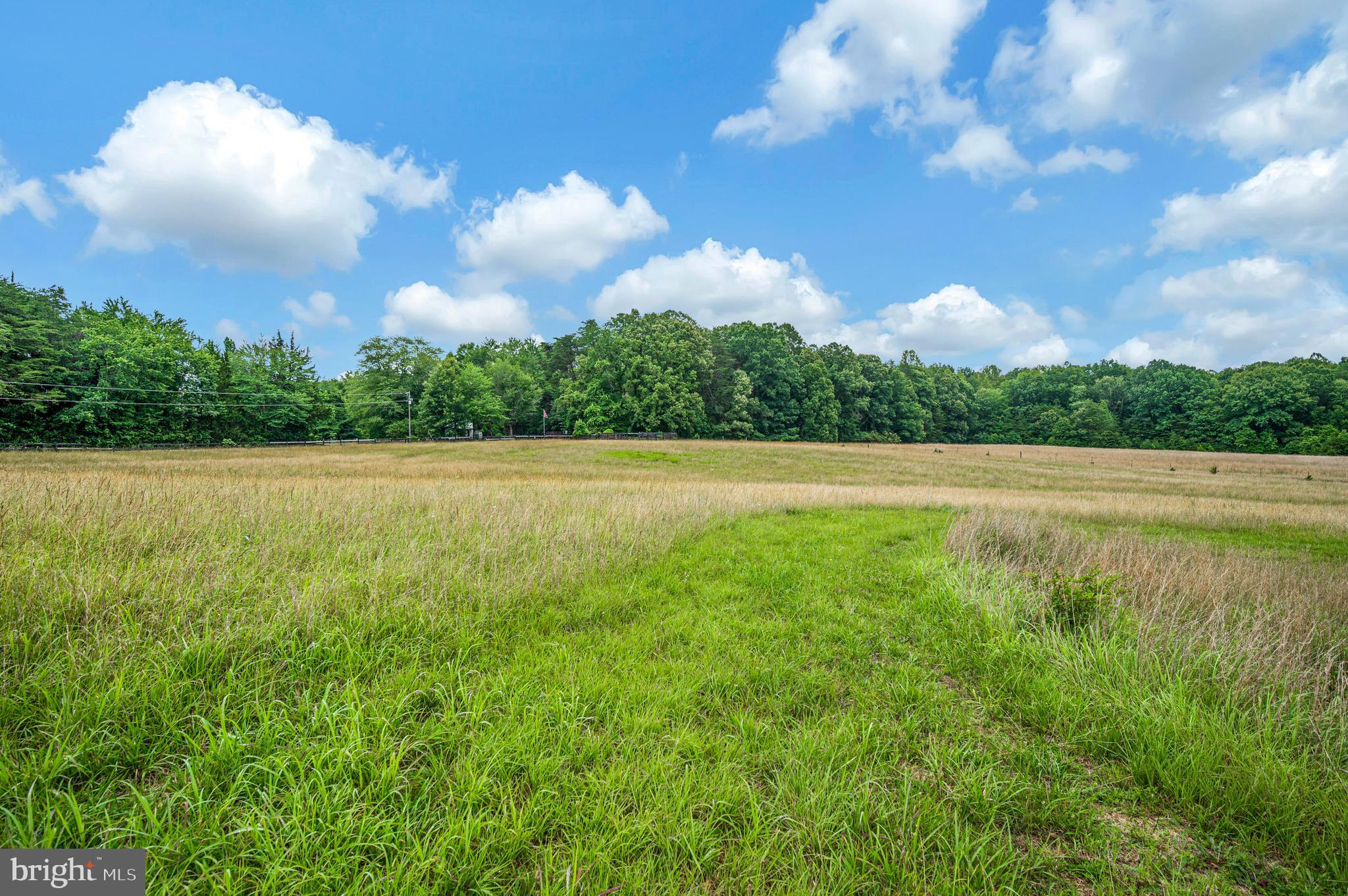 6317 Louisianna Road Locust Grove, VA 22508 - Photo 38 of 57 Plenty of acreage to roam, explore, and grow!