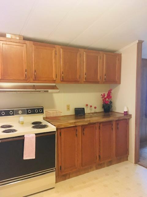 1315 Depot Road Blue Ridge, VA 24064 - Photo 9 of 17 a kitchen with stainless steel appliances granite countertop a stove a sink and a microwave