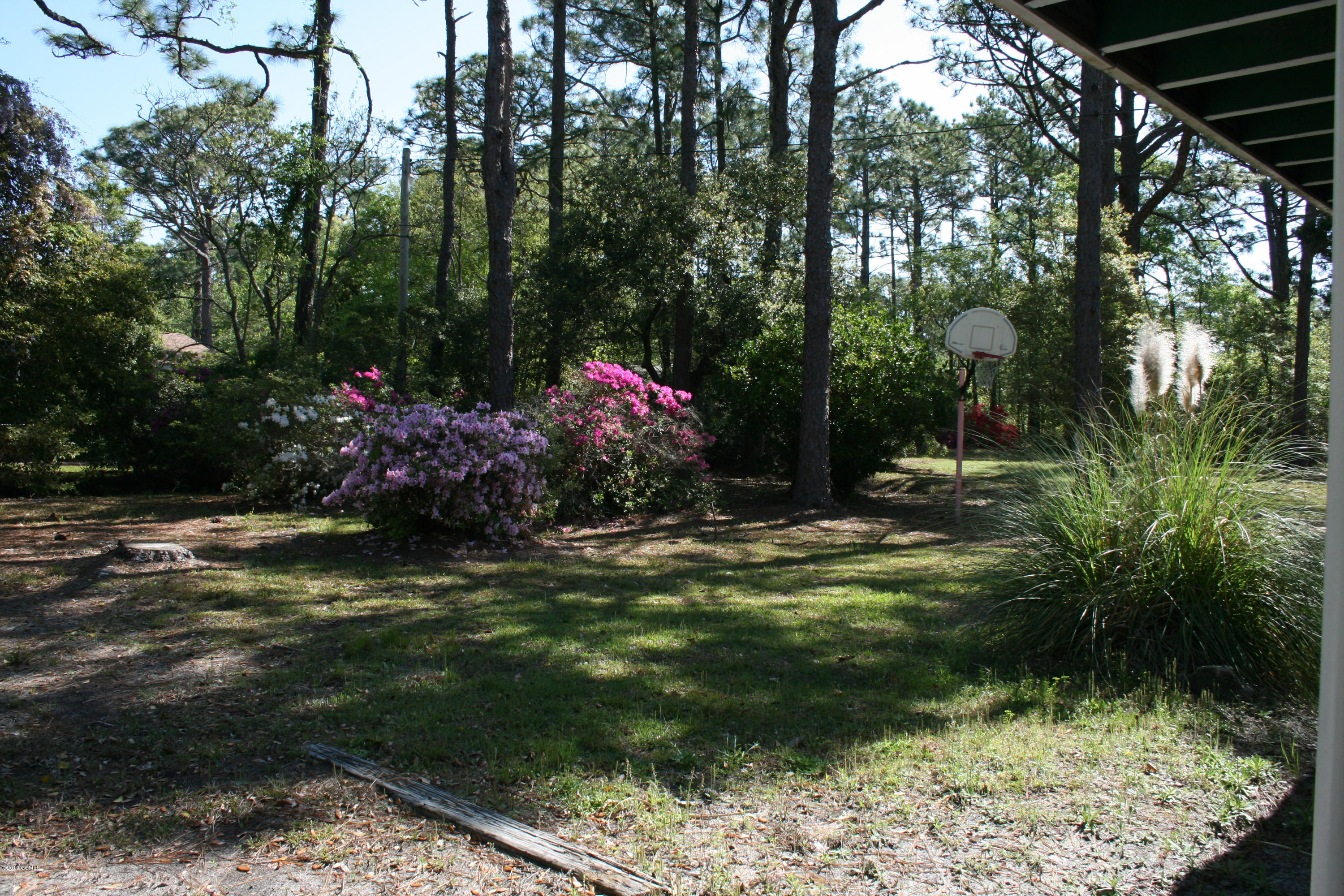 157 Hibbs Road Newport, NC 28570 - Photo 15 of 15 157 hibbs rd ext side yard landscaping