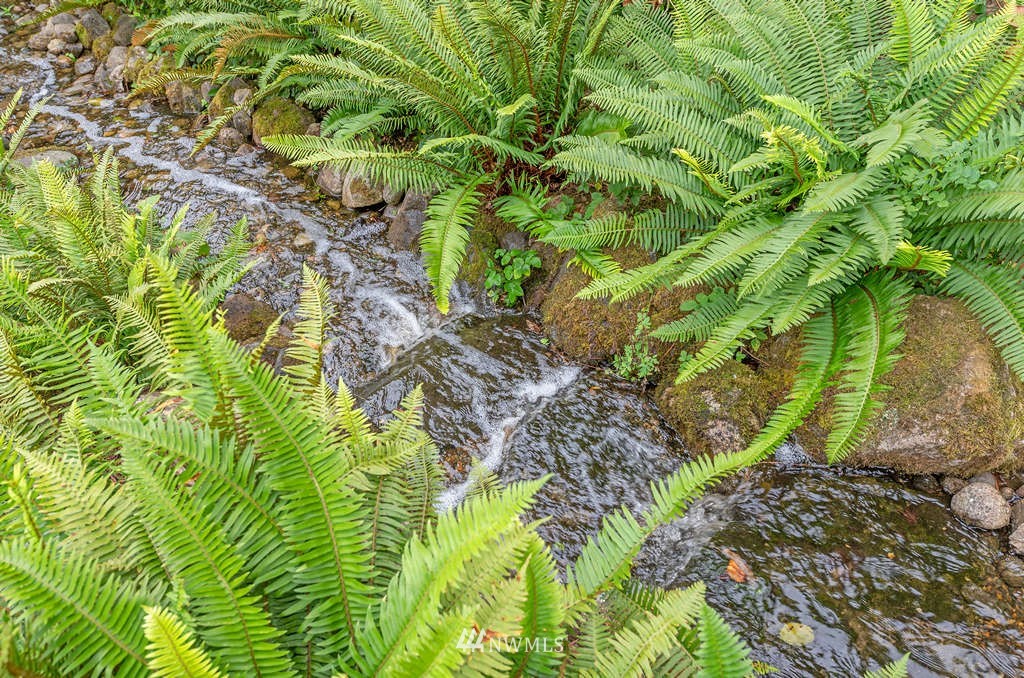 18132 Thorsen Road Southwest Vashon, WA 98070 - Photo 12 of 40 a backyard of a house with lots of green space