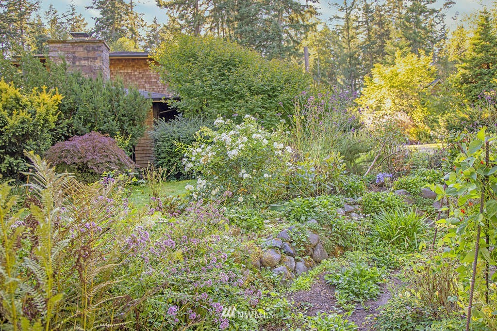 18132 Thorsen Road Southwest Vashon, WA 98070 - Photo 32 of 40 a view of a garden with plants and large trees