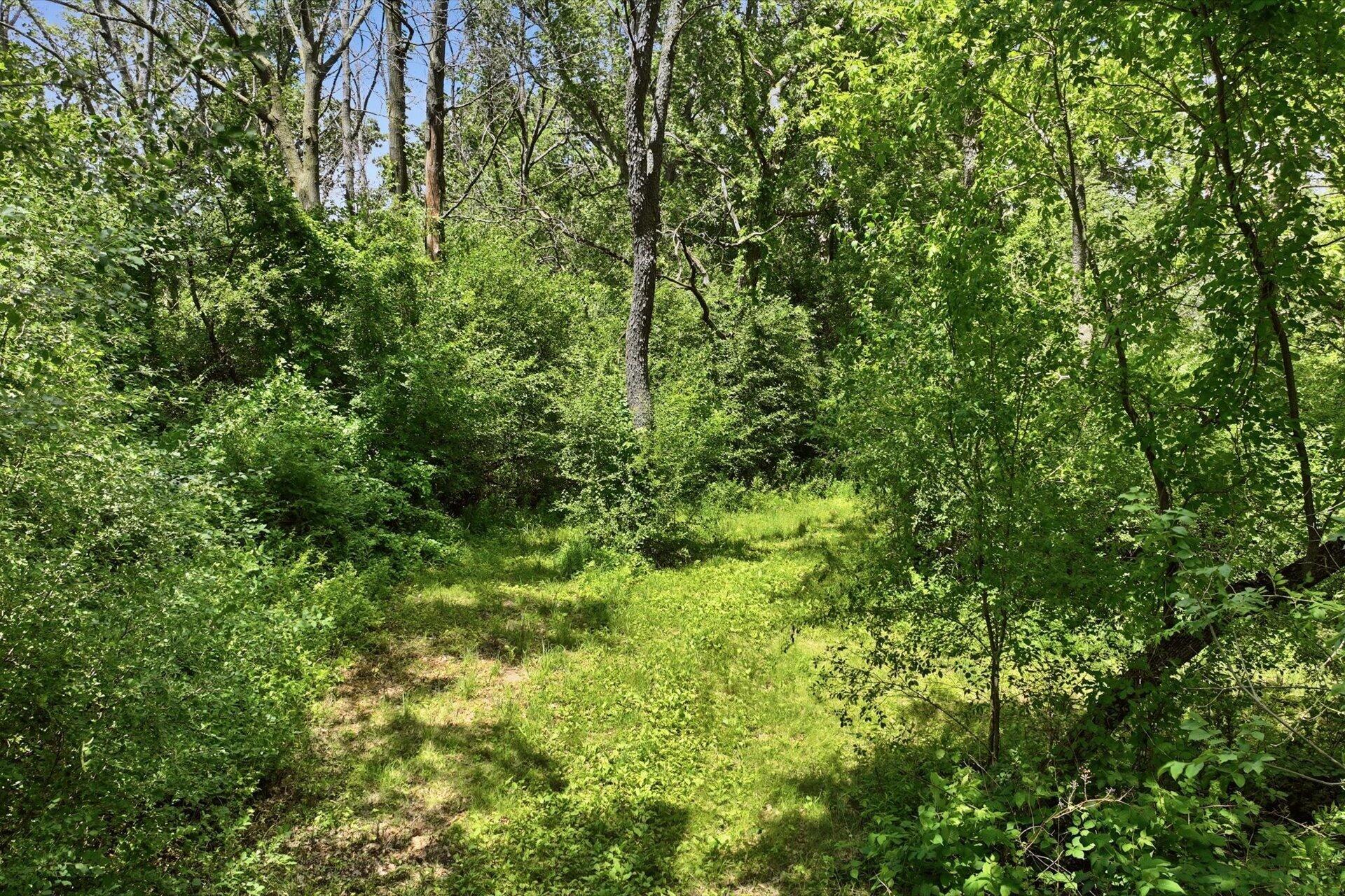 W7288 South Town Line Road Delavan, WI 53115 - Photo 45 of 57 woods with trail
