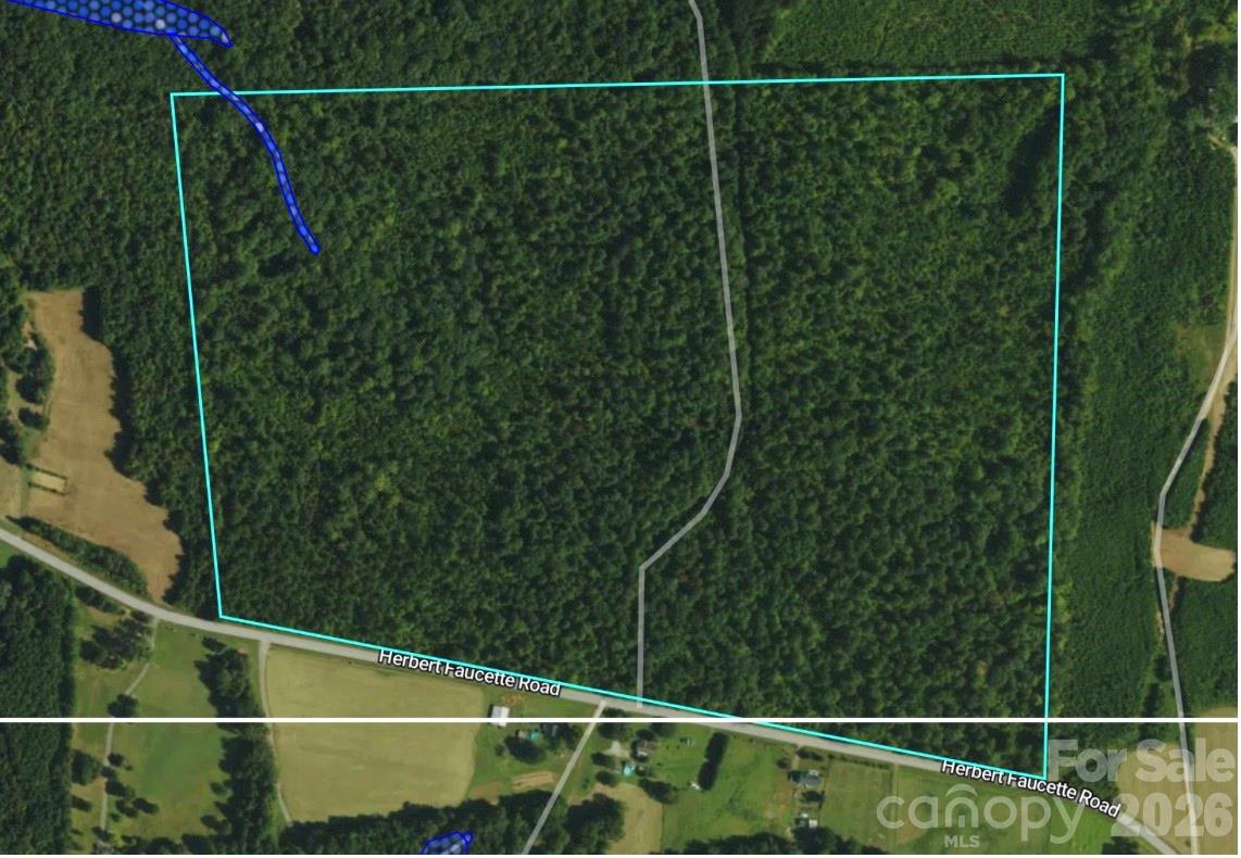 0 Herbert Faucette Road Bullock, NC 27507 - Photo 4 of 40