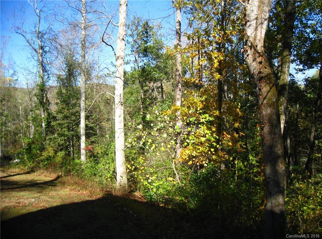 88 Johnny Marlow Road, Unit 12 Fairview, NC 28730 - Photo 16 of 17 Gallery Image 16