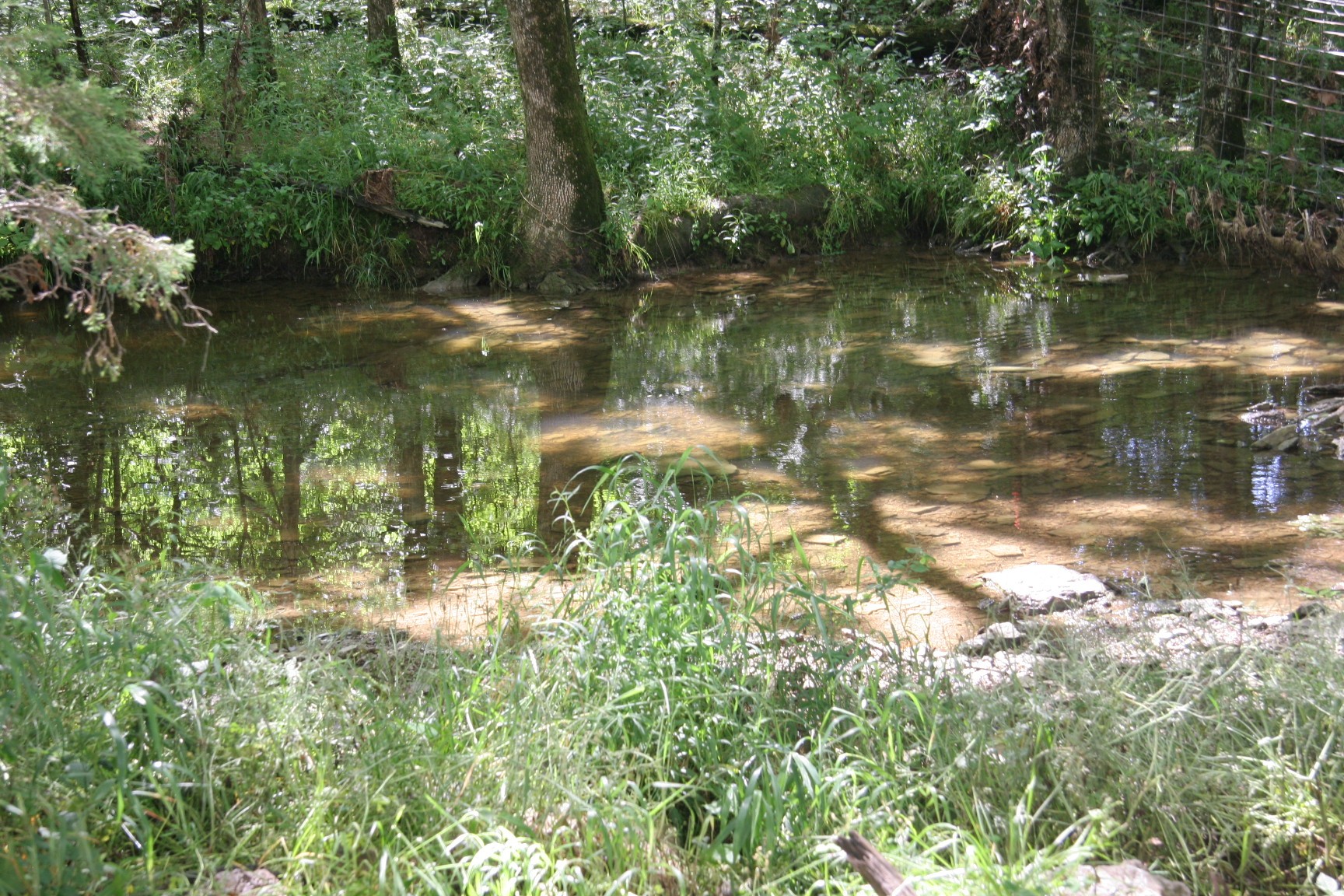 4 Old Shannon Road Lebanon, TN 37090 - Photo 16 of 17 a view of lake