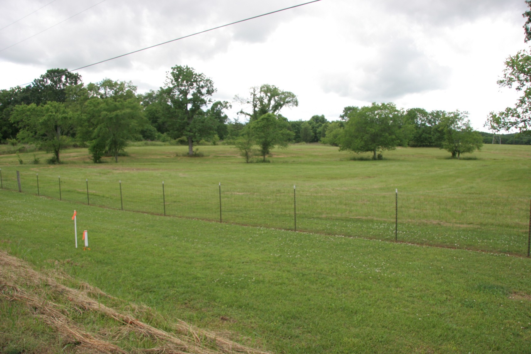 4 Old Shannon Road Lebanon, TN 37090 - Photo 4 of 17 a view of a field with a big yard