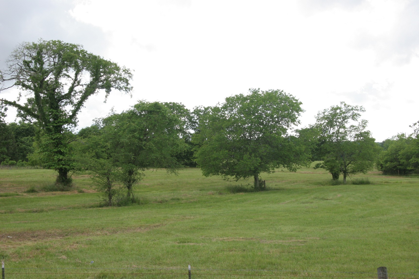 4 Old Shannon Road Lebanon, TN 37090 - Photo 5 of 17 a view of outdoor space with green field and trees
