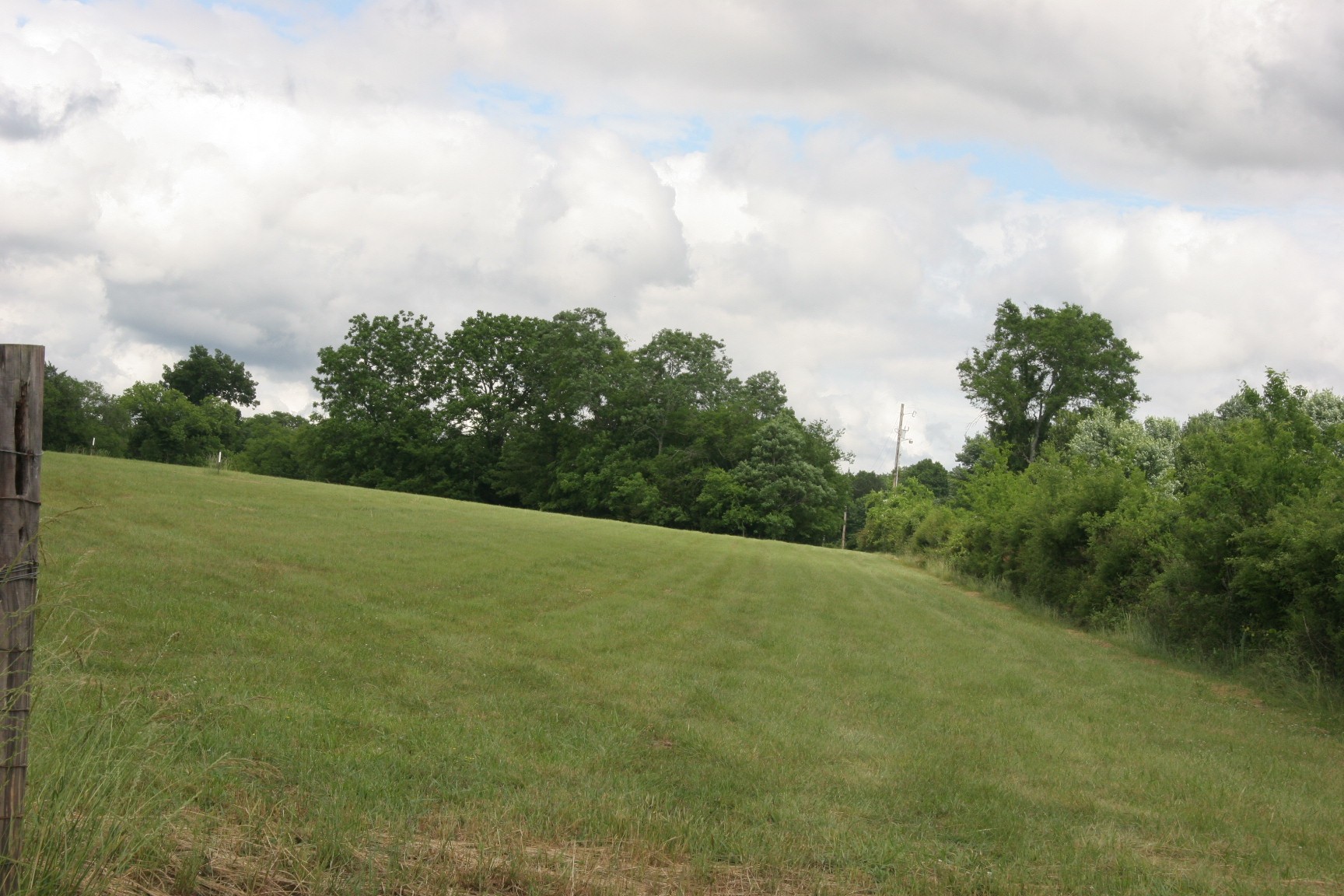 4 Old Shannon Road Lebanon, TN 37090 - Photo 8 of 17 a view of a big yard with large trees