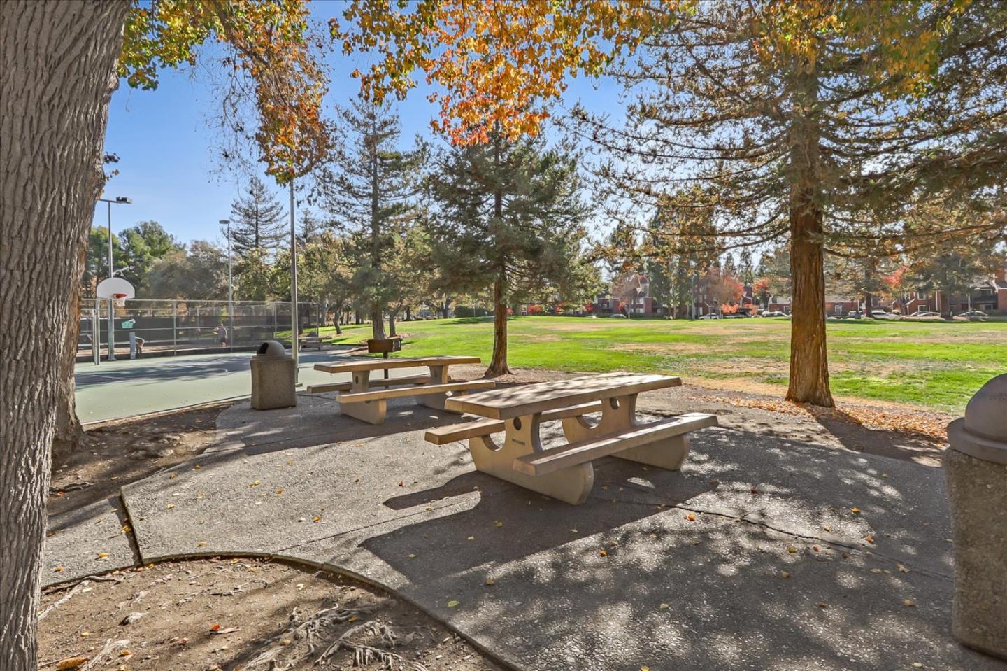 430 Costa Mesa Terrace, Unit E Sunnyvale, CA 94085 - Photo 37 of 40 a view of a park with large trees