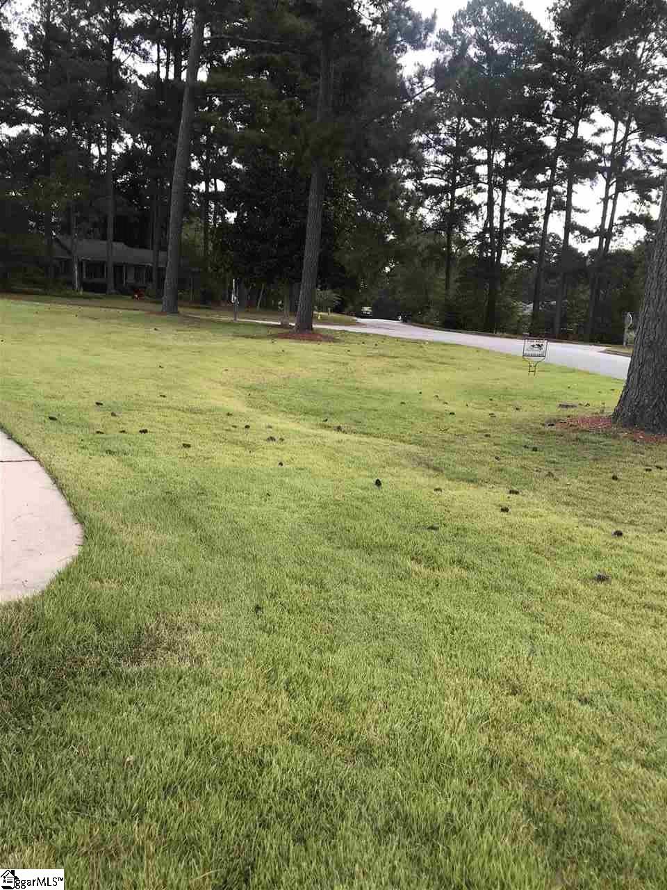 3 Brook Drive Greenville, SC 29607 - Photo 15 of 17 Gallery Image 15