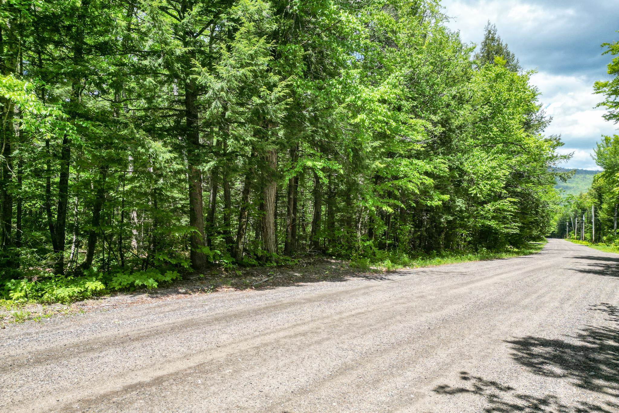 0 Rolling Ridge Road Bartlett, NH 03812 - Photo 6 of 6