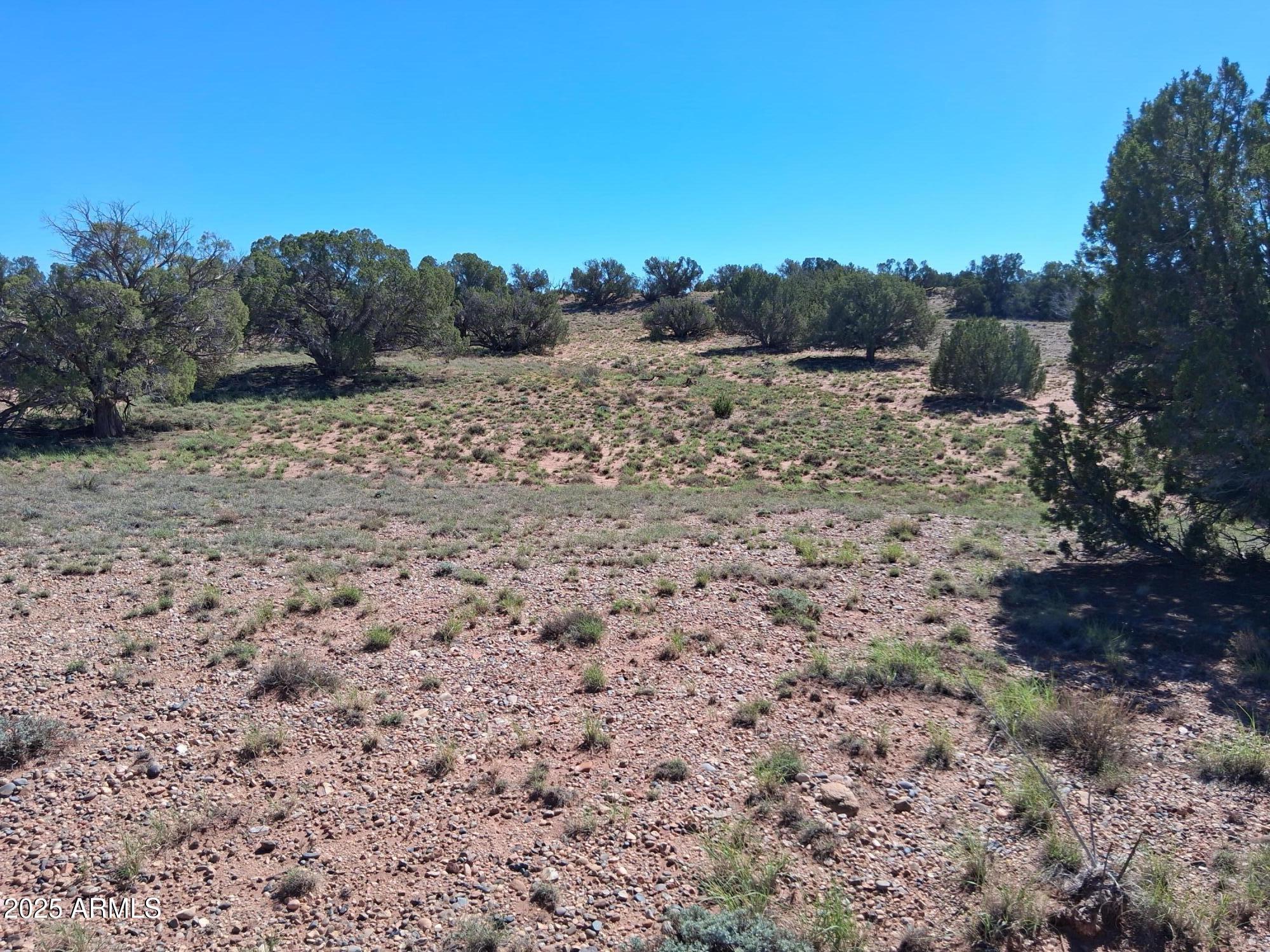 212 County Road Snowflake, AZ 85937 - Photo 13 of 22 a view of a dry yard with trees in the background
