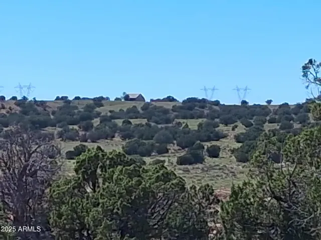 a view of a tree in a field
