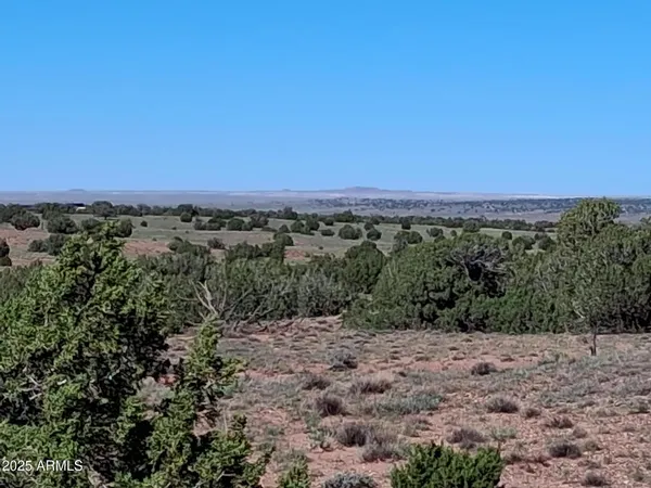 $12,999 | 212 County Road, Concho, AZ 85924