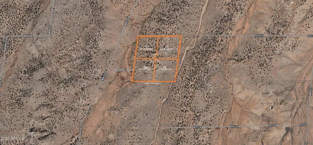 a tree is standing in the middle of a field