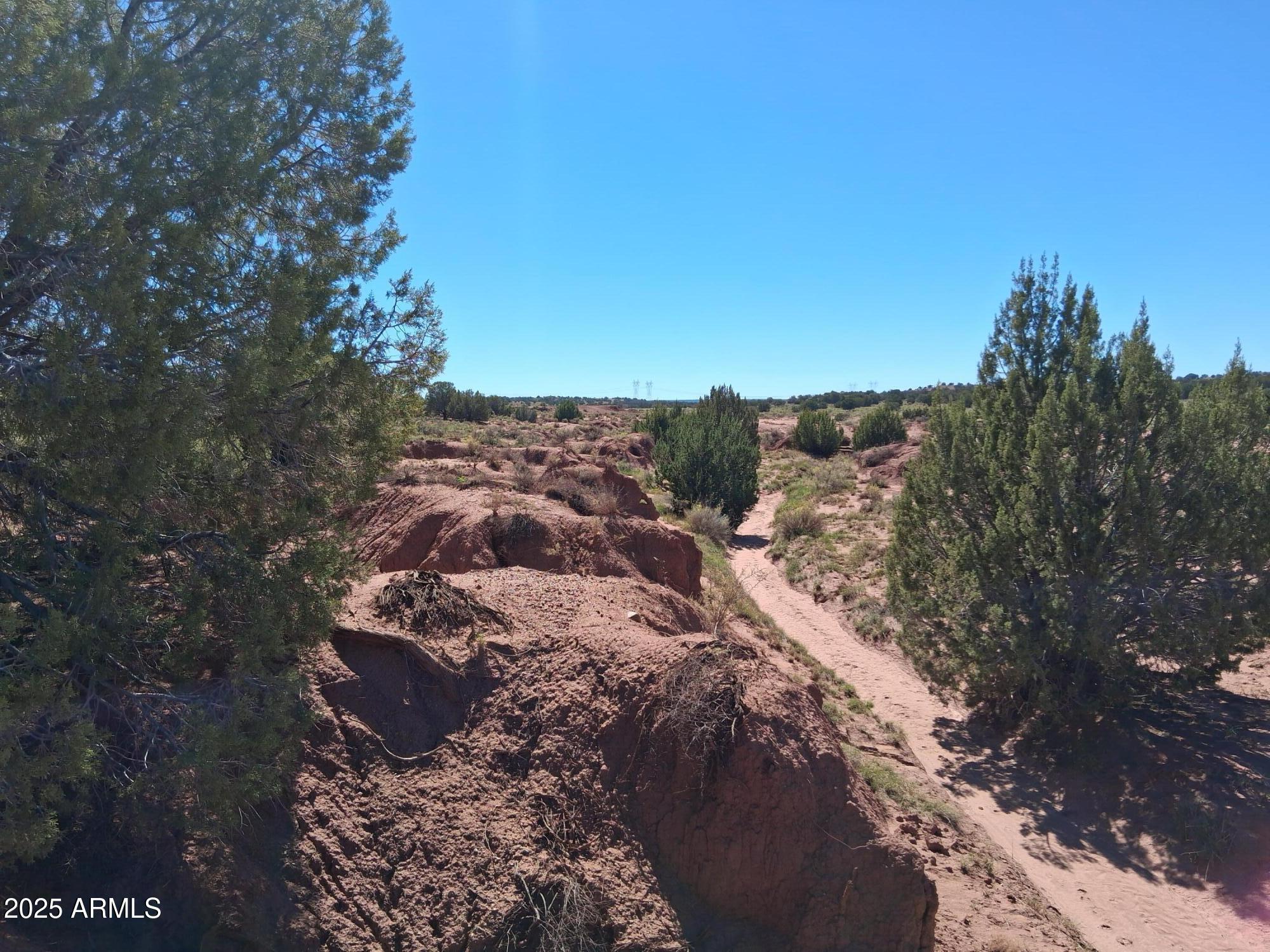 212 County Road Snowflake, AZ 85937 - Photo 8 of 22 a view of a city