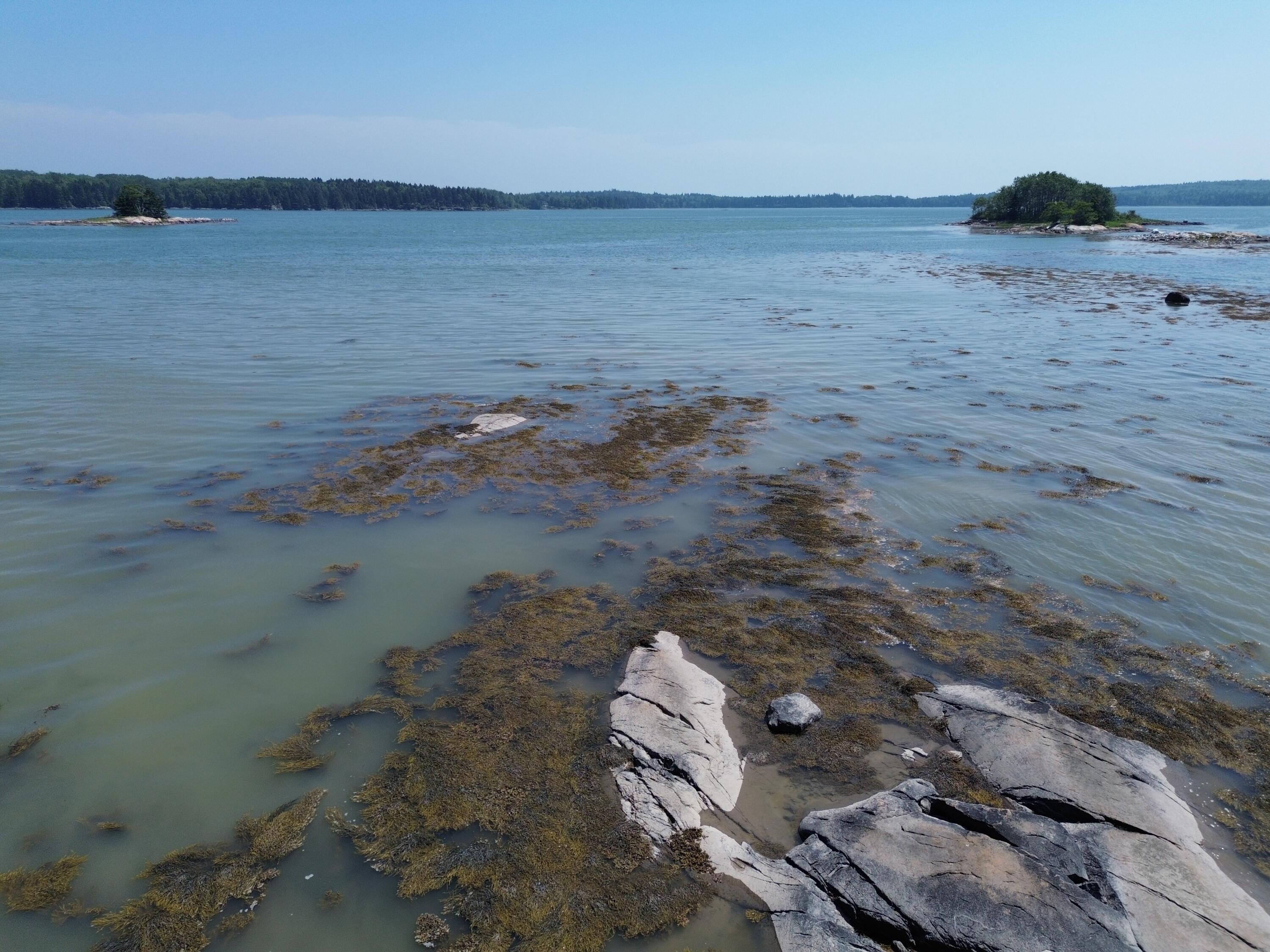 M7-l 5 6 Pineo Point Road Harrington, ME 04643 - Photo 41 of 45 DJI_0382