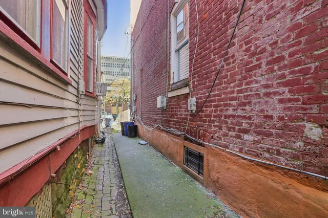 a view of a forest with trees