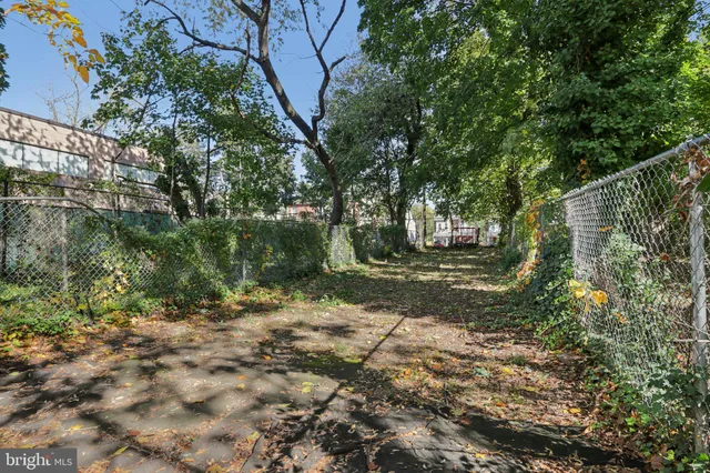 a view of a tree in the middle of a forest
