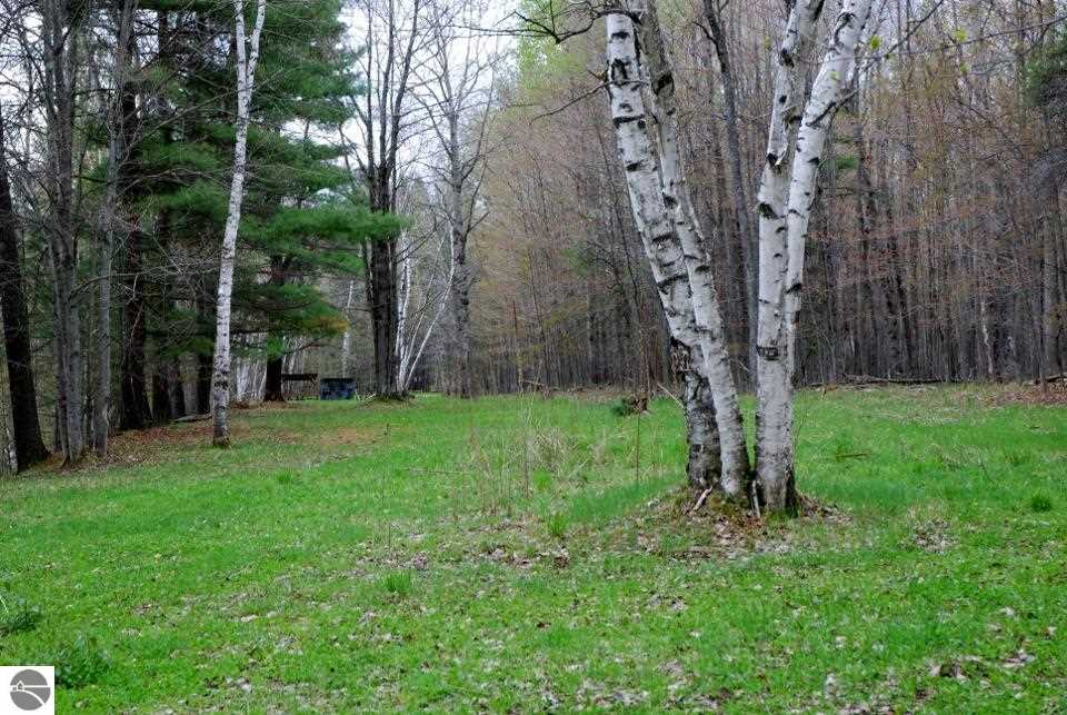6004 Turtle Road Turner, MI 48765 - Photo 24 of 27 1784963-23.JPG